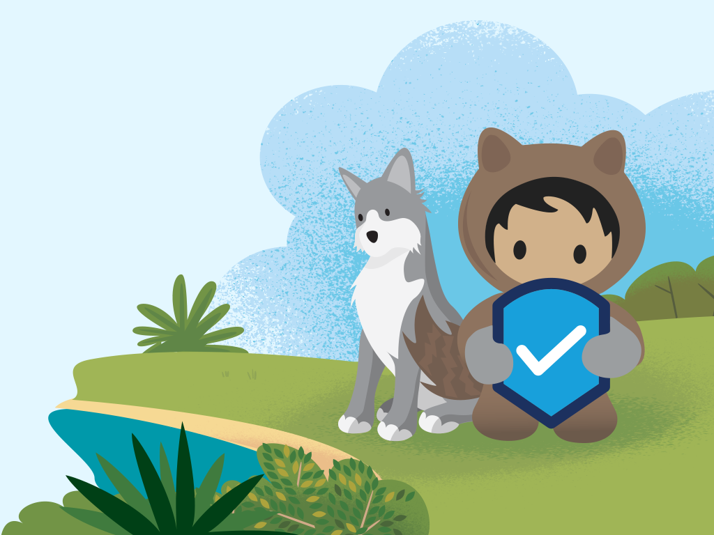 Salesforce MFA