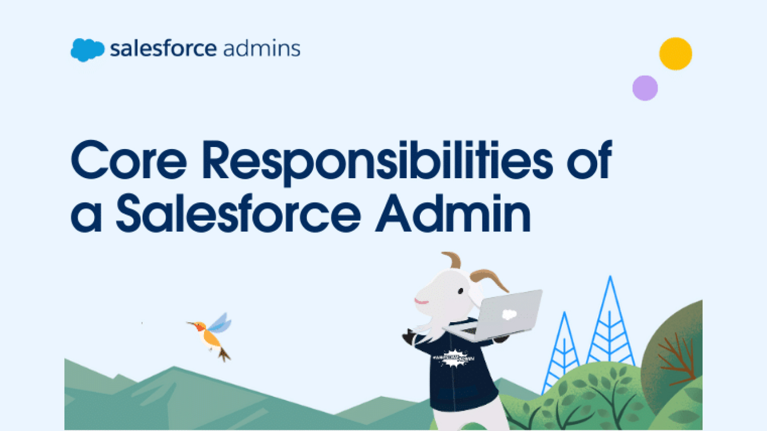 Salesforce 管理者の主要な責任